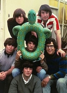 The Turtles